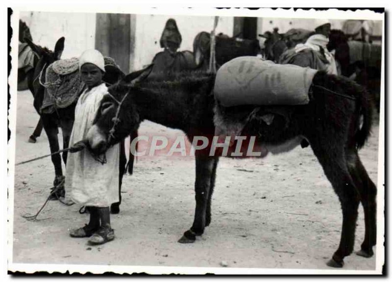 Photo Tunisia Child and donkey