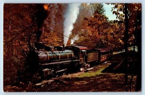 Blowing Rock North Carolina Postcard Tweetsie Railroad Train Ride c1960 Vintage