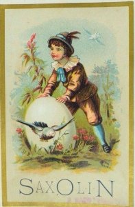 1880's-90's Saxolin Chalcedony Soap Adorable Boy Giant Egg Field Birds P61