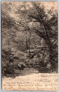 Vtg Richmond Long Island New York NY Forest Park 1900s View Old Postcard