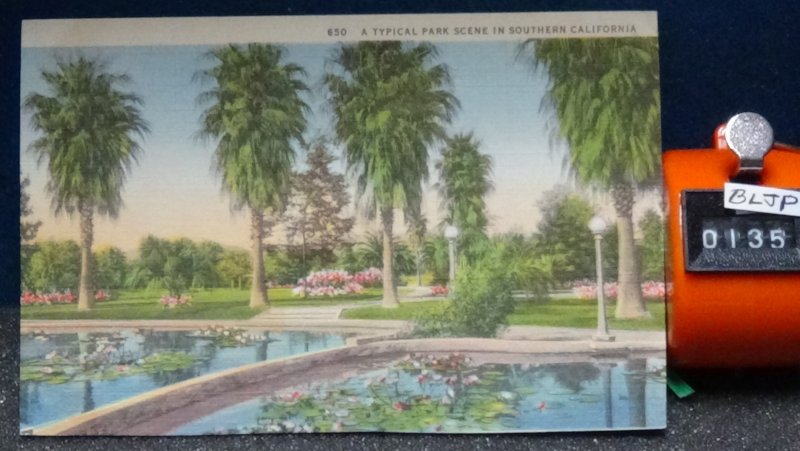 STD Vintage A Tropical Park Scene in Southern California Unposted Linen