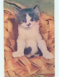 Unused 1950's CUTE KITTEN CAT IN WICKER BASKET n0331@