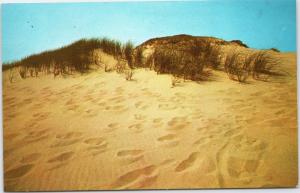 Footprints in sand Outer Cape Cod