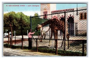 Jardin Zoologico Giraffe Buenos Aires Argentina UNP DB Postcard L17