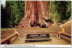 Postcard - Kings Canyon National Park, General Grant Tree - California