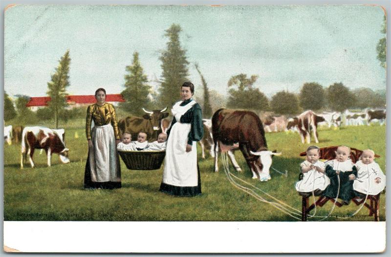 MULTIPLE BABIES COW MILKING FRAM SCENE ANTIQUE POSTCARD  