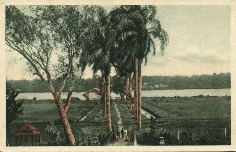 suriname, Plantations near Suriname River (1936) Moravian Mission 