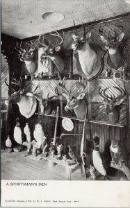 A Sportsman's Den Taxidermy Guns Animals Deer Birds UNUSED Reilly Postcard F85