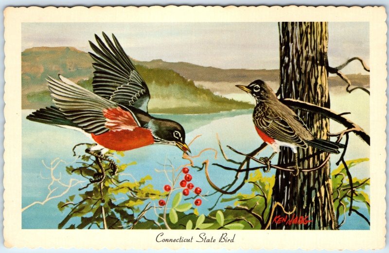 1967 CT Connecticut State Bird American Robin Eats Ken Haag Painting Art PC A334