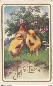 EASTER, PU-1917; A Joyful Easter, Chicks