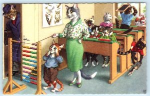 Mainzer Dressed Cats CLASSROOM TEACHER Abacus Kittens #4914 Belgium Postcard