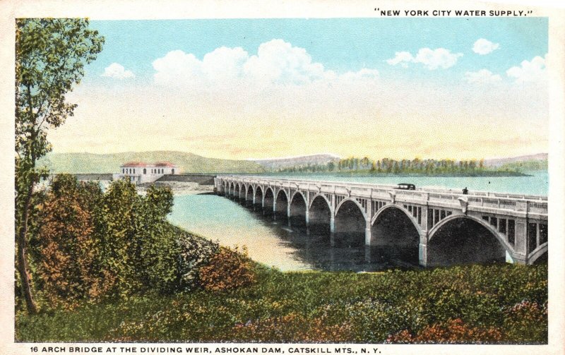 Vintage Postcard New York City Water Supply Arc Bridge Catskill Mountain NY