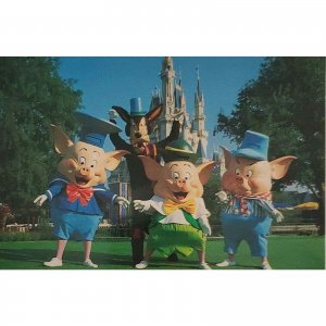 Three Little Pigs Big Bad Wolf Whos Afraid Magic Kingdom Disney Postcard