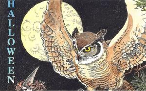 Flying Rabbit Sandy Waters Uncle Halloween Witch Owl Installment Two Postcards