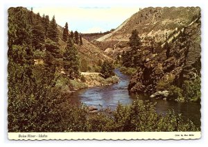 Boise River Idaho Postcard Continental Scenic View Card