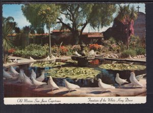 Fountain of the White King Doves,Mission San Juan Capistrano,CA BIN