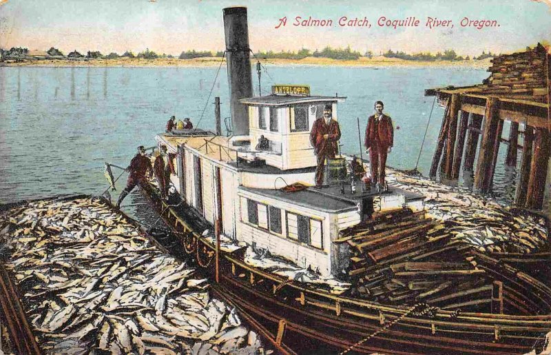 Salmon Fishing Trawler Boat Coquille River Oregon 1910 postcard