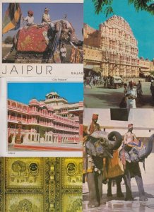 JAIPUR 49 India Postcards Mostly 1960-1980 (L6166)