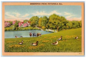 c1940's Ducks Bucks River Greetings from Pittsfield Illinois IL Postcard 