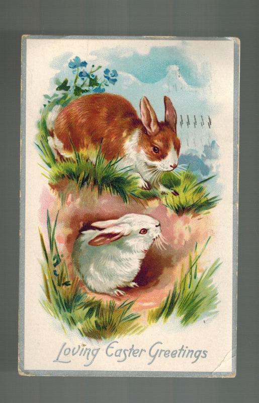 1910 Madison Square Garden NY USA postcard Cover Easter Bunny Rabbits in Hole