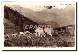 Old Postcard Pic du Midi The Col d'Aspin has Sheep grazing