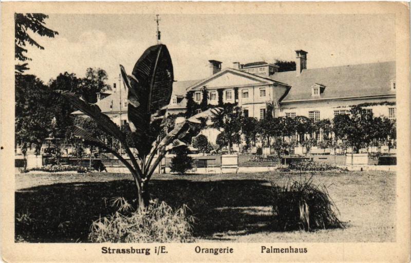 CPA AK STRASSBURG Palmenhaus Orangerie (428713)