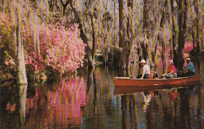 South Carolina CHarleston Boating Scene In Cypress Gardens