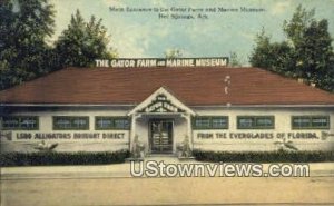 Gator Farm, Marine Museum - Hot Springs, Arkansas AR