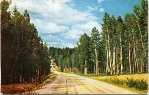 postcard Arizona - Kaibab National Forest -- enroute to the North Rim