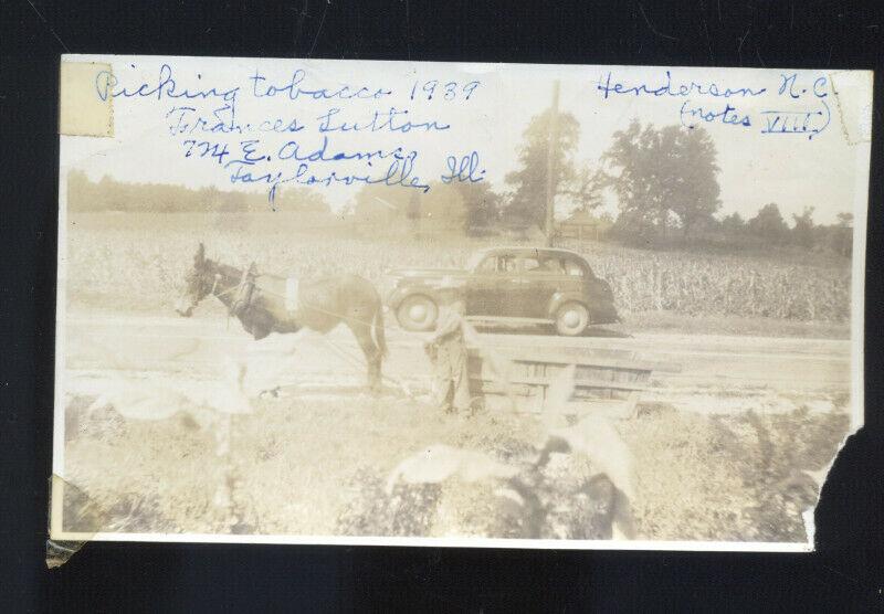 REAL PHOTO PHOTOGRAPH TAYLORVILLE ILLINOIS TOBACCO FARMING OLD CAR MULE ILL.