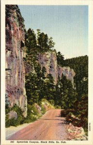 Vtg 1930's Spearfish Canyon Black Hills South Dakota SD Unused Linen Postcard