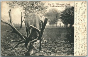 WASHINGTONVILLE PA BILLMEYER'S PARK BIG ELK 1911 ANTIQUE POSTCARD