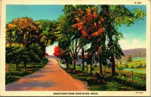 Generic Country Road Scenic Greetings From Iron River Michigan MI Linen Postcard