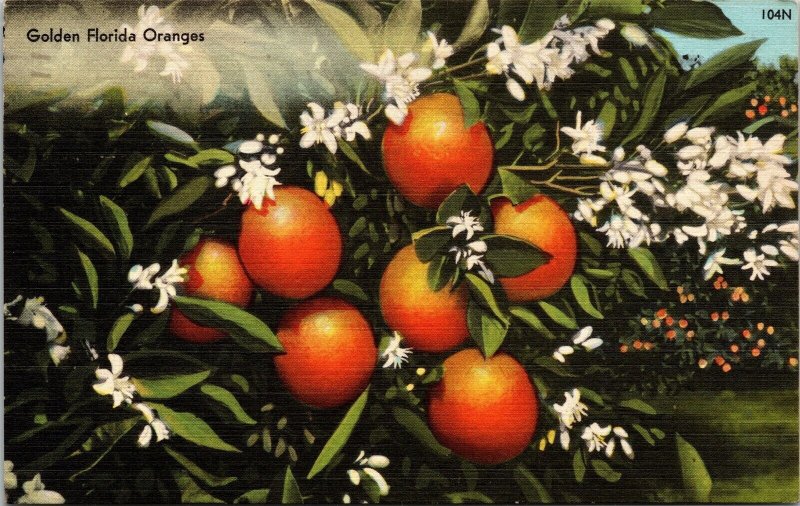 Golden Florida Oranges Blooming Tropical Plantlife Linen Cancel WOB Postcard 