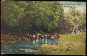 In the cooling stream near Sterling, Illinois. 1919 Rock Island Post Card Co.