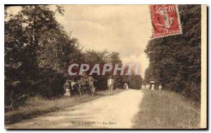 Old Postcard Montargis La Foret Donkey Mule