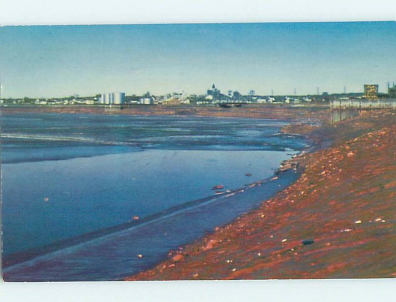 Pre-1980 NATURE SCENE Moncton New Brunswick NB AD3158-12