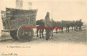 Azores, Acores, Sao Miguel Island, Carro de Bol, Ox Drawn Cart, UDB