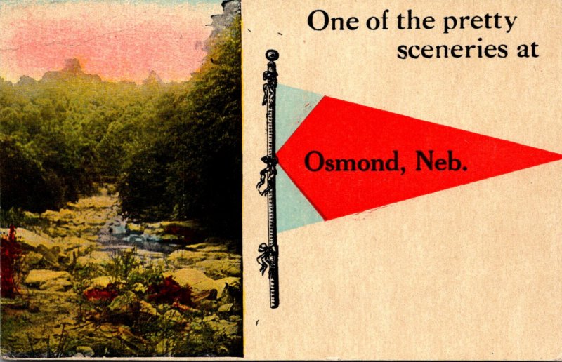 Nebraska Osmond One Of The Pretty Sceneries 1915 Pennant Series