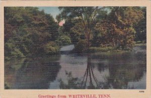 Tennessee Whiteville Greetings From Whiteville 1946