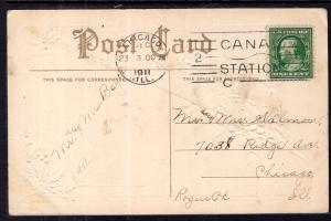 Christmas Holly Scene BIN