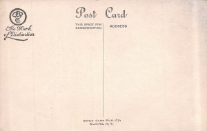 PATRIOTIC BIRTHDAY GREETING~UNITED STATES FLAG-STATUE OF LIBERTY POSTCARD 