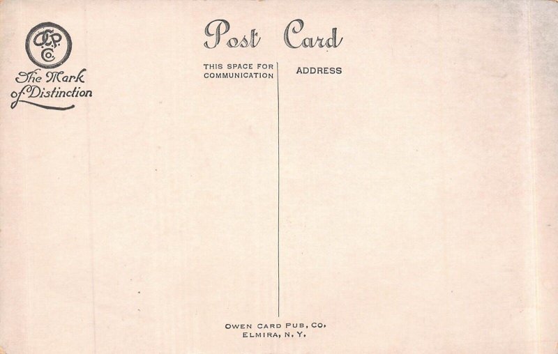 PATRIOTIC BIRTHDAY GREETING~UNITED STATES FLAG-STATUE OF LIBERTY POSTCARD 