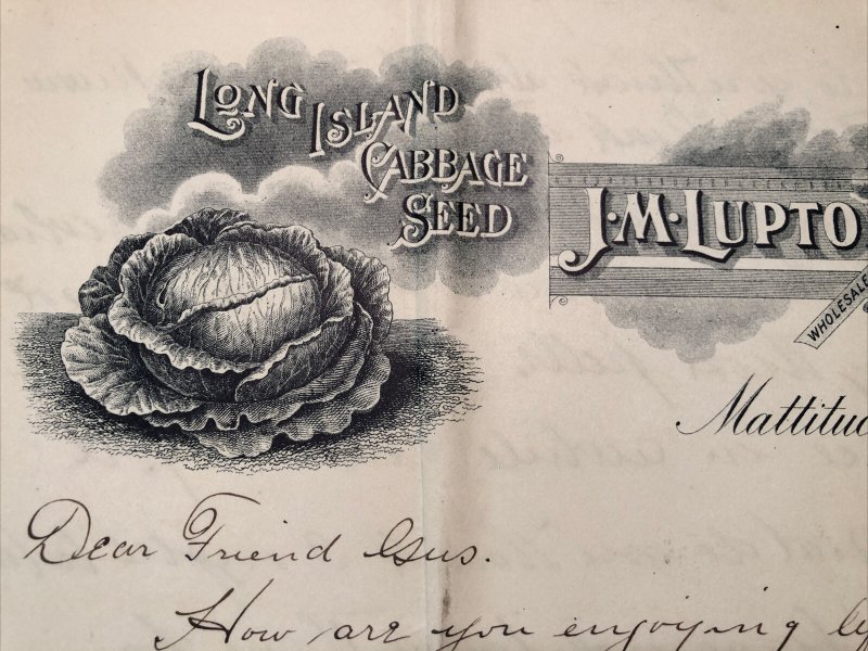 1902 J M LUPTON SEED GROWER Long Island CABBAGE SEED New York Letterhead