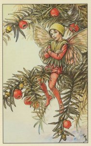 Yew Tree Flower Fairy From 1920s Fairies Book Stunning Postcard