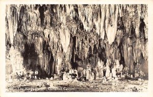 King's Palace real photo - Carlsbad Caverns, New Mexico NM  