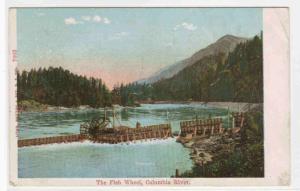 Fish Wheel Columbia River Oregon 1909 postcard