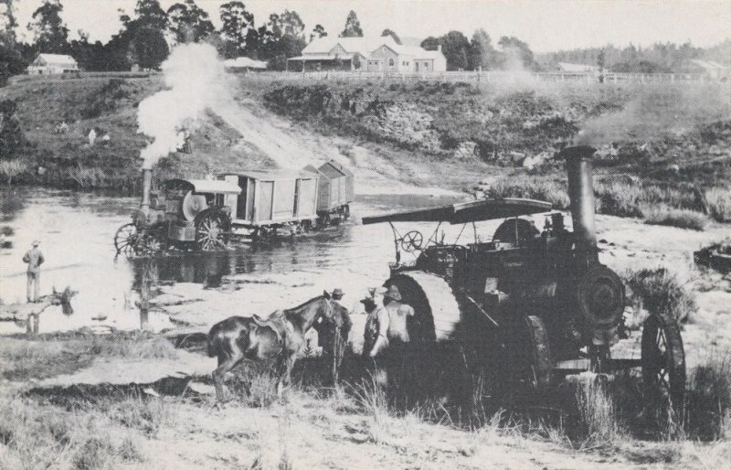 Military Steam Traction Engines in South Africa Postcard