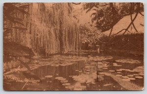 Honolulu Hawaii~Willows Restaurant~Tree @ Lily Pond~Kathleen Perry Mgr~1940s Adv
