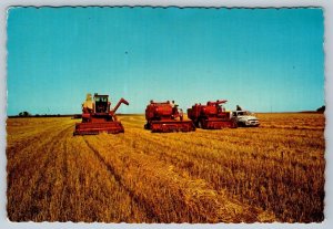 Harvest Time In Saskatchewan, 1974 Chrome Postcard